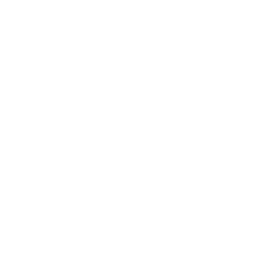 Bridgestone